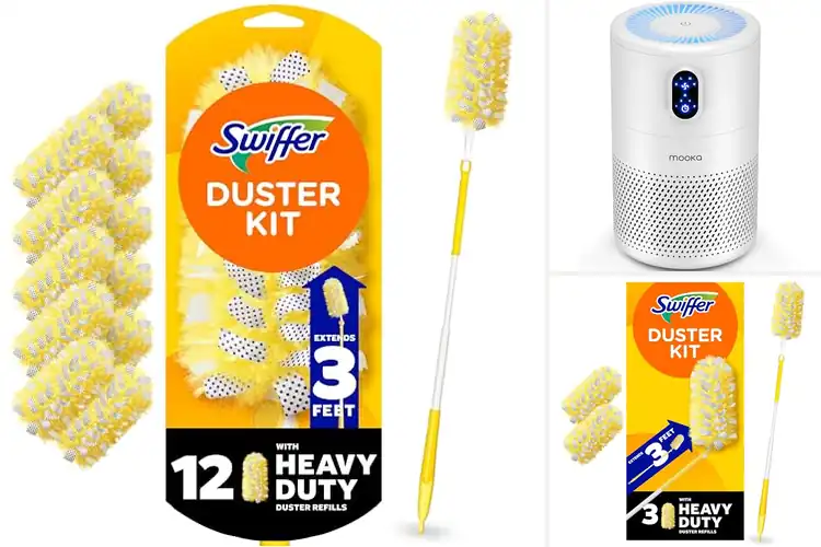 Detailed view of Best Dust Removal: 10 Simple Tools for a Fresh, Clean Home