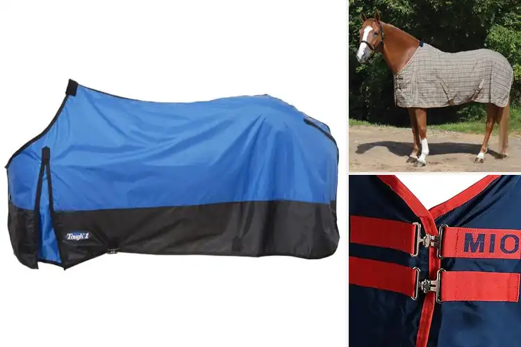 Detailed view of Best Lightweight Stable Sheet