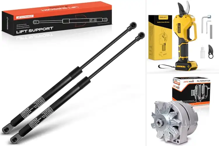 Detailed view of Best One Year Limited Warranty Support