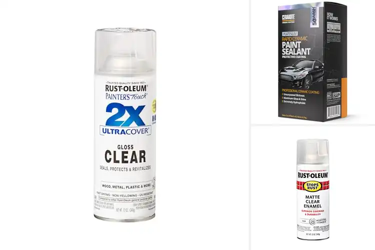 Detailed view of Best Paint Protection Sprays