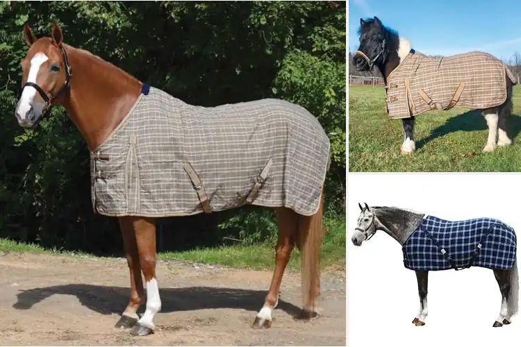 Detailed view of Best Plaid Style Stable Sheet