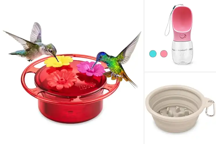 Detailed view of Best Portable Feeders