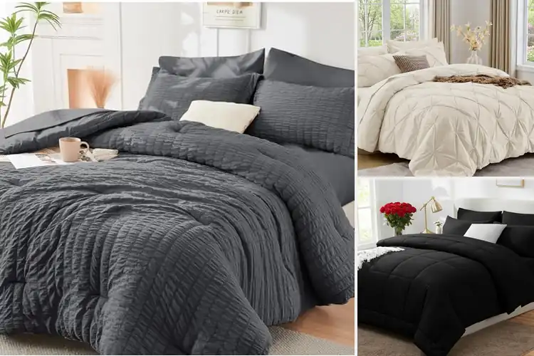 Detailed view of Best Queen Comforter Sets