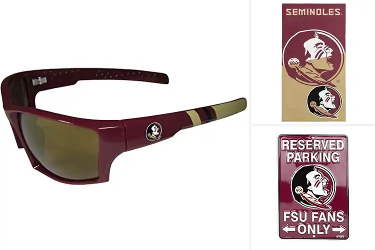 Detailed view of Best Seminoles Fan Gear
