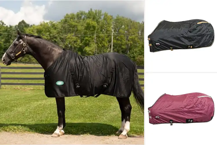 Detailed view of Best Two Buckle Front Closure Sheet